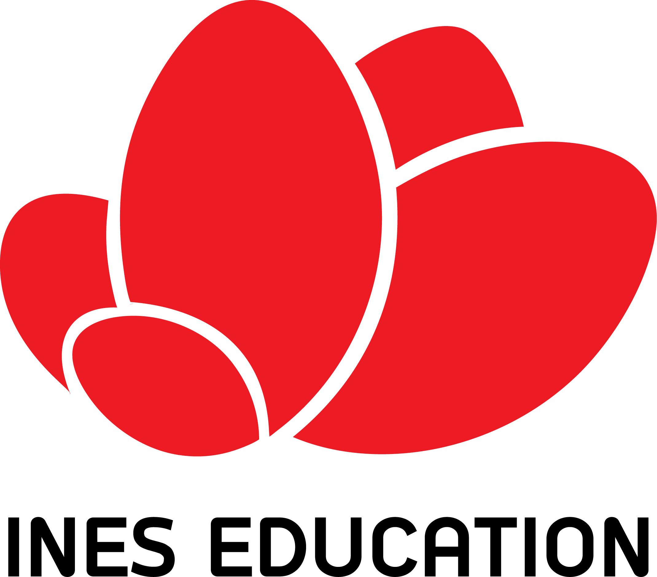 logo ineseducation