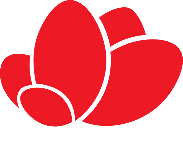 Edu